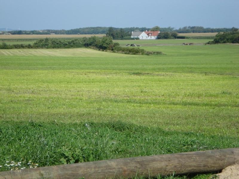 Kirstinesminde Holiday House Willa Nissum Zewnętrze zdjęcie